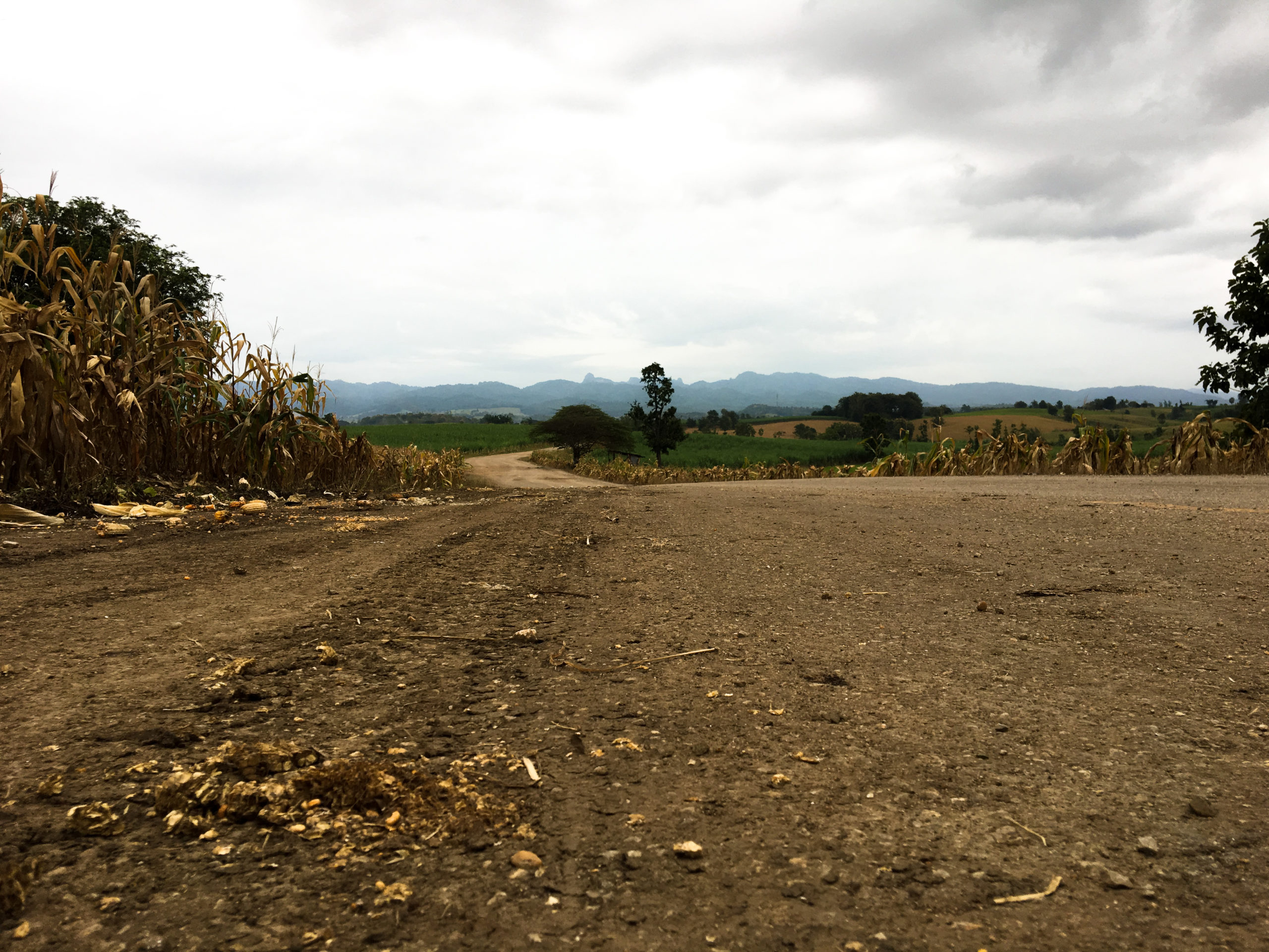 The road to transition