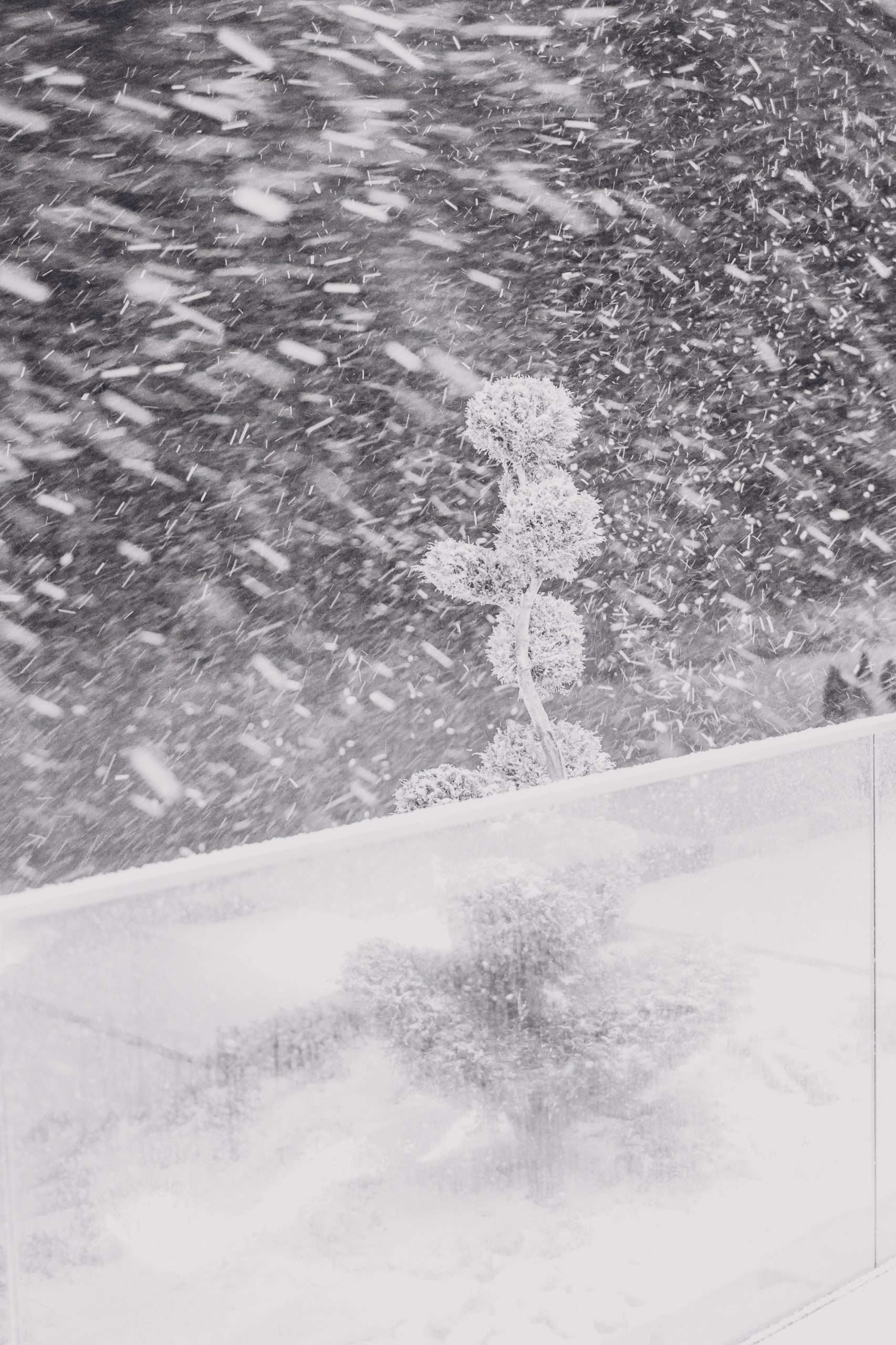 Reminding One another of truth in the whirlwind